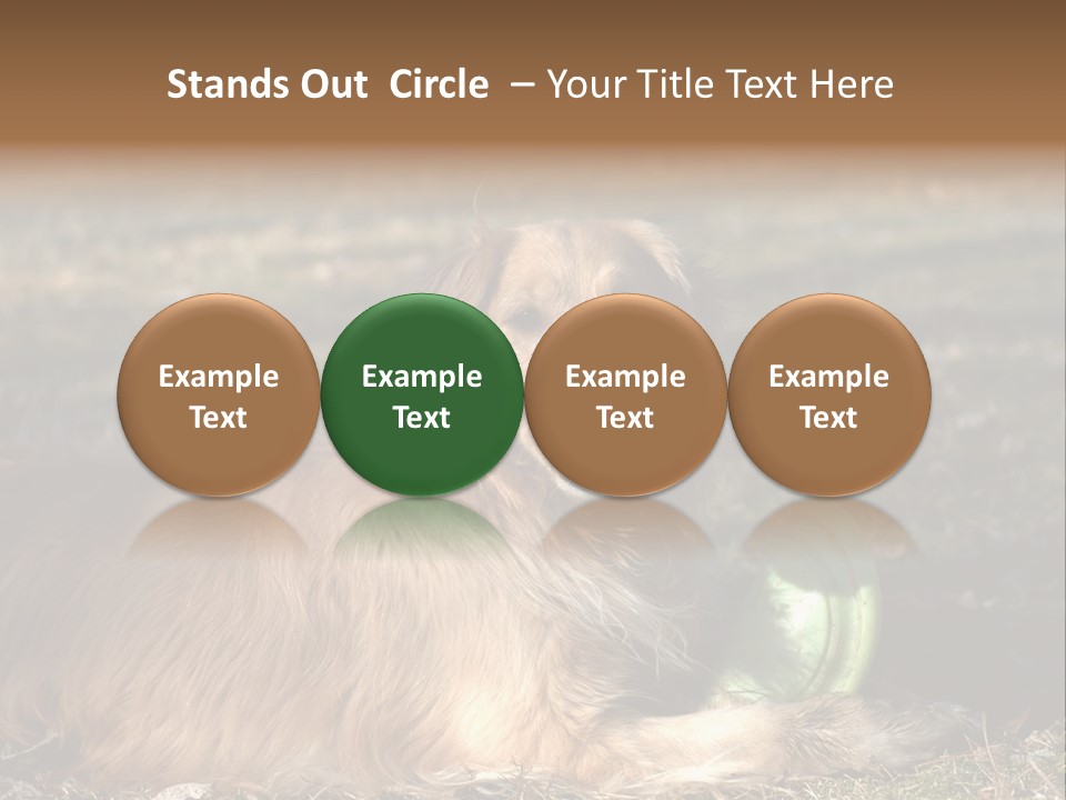 Golden With Frisbee PowerPoint Template