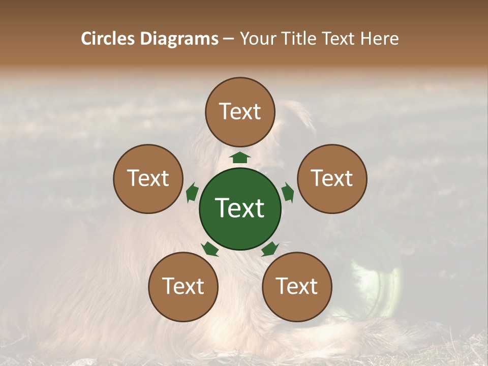 Golden With Frisbee PowerPoint Template