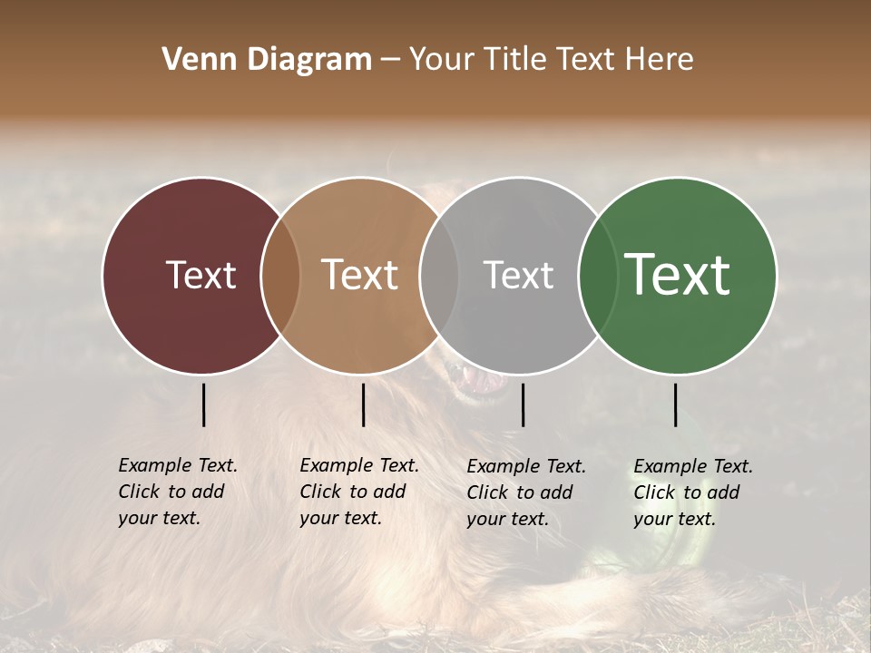 Golden With Frisbee PowerPoint Template