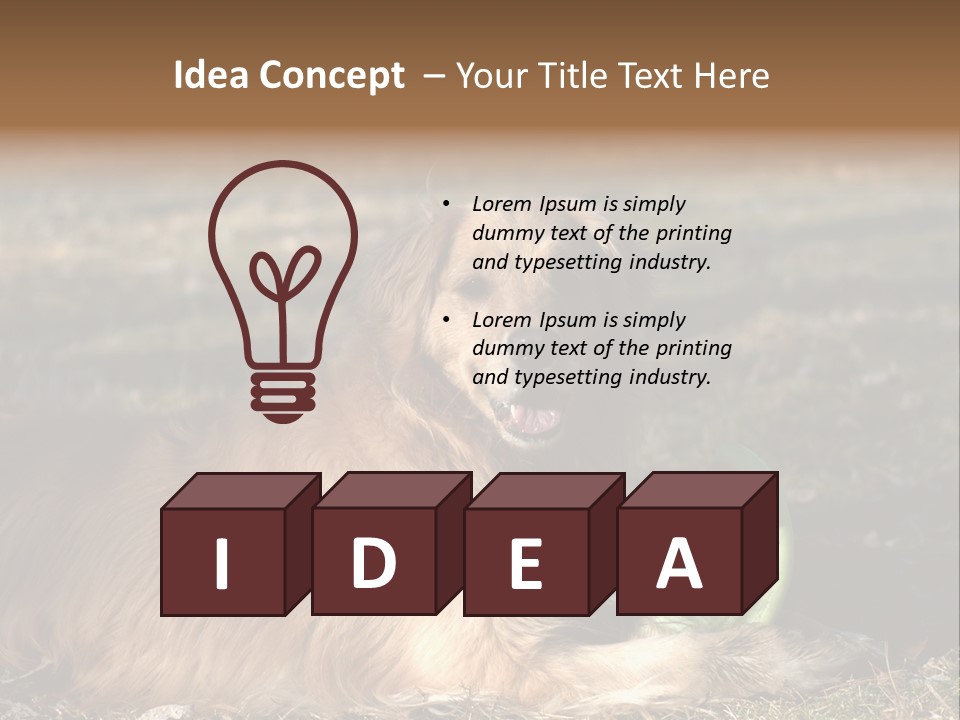 Golden With Frisbee PowerPoint Template