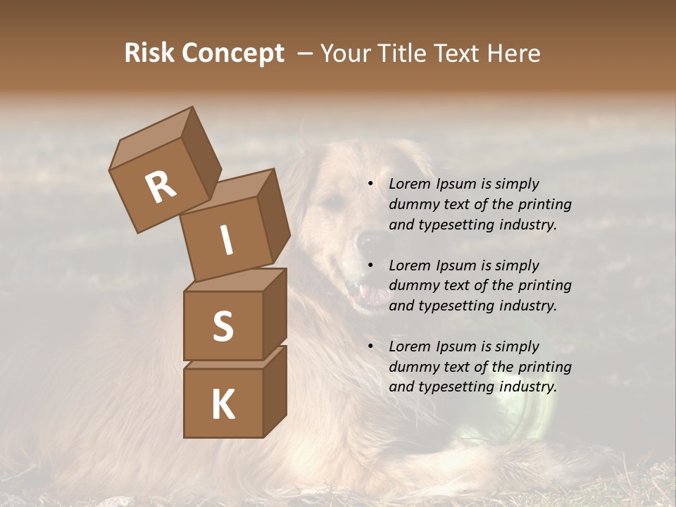 Golden With Frisbee PowerPoint Template