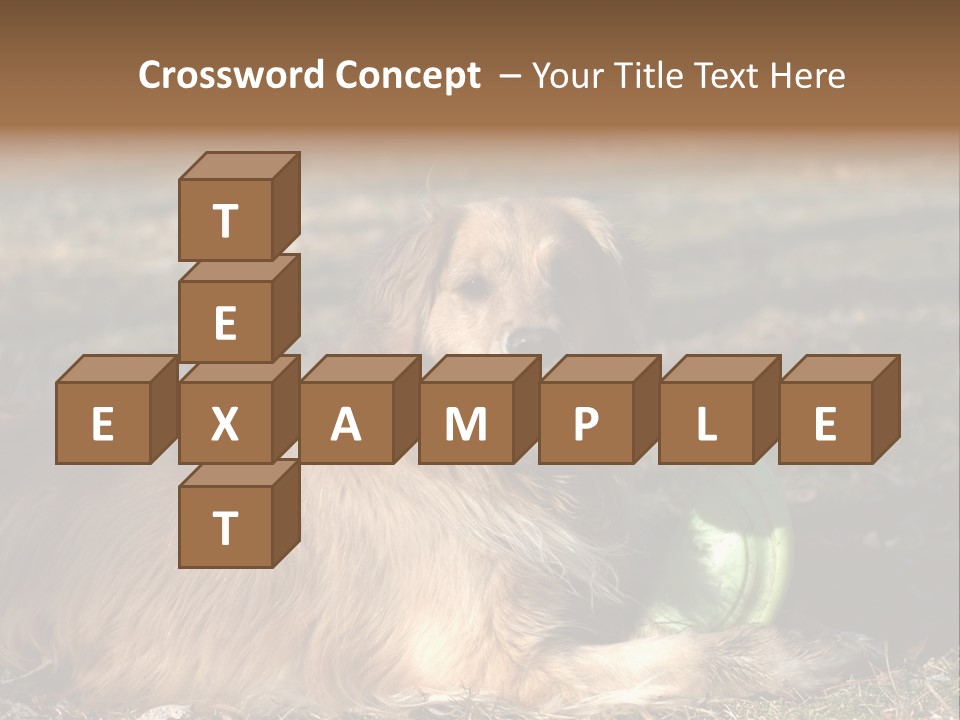 Golden With Frisbee PowerPoint Template