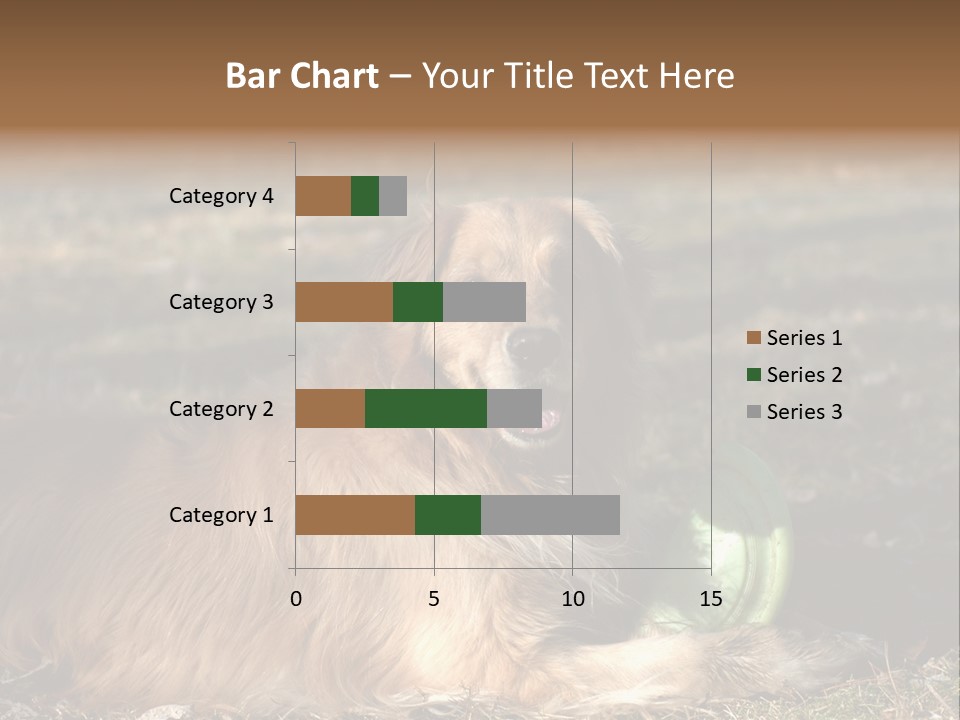 Golden With Frisbee PowerPoint Template