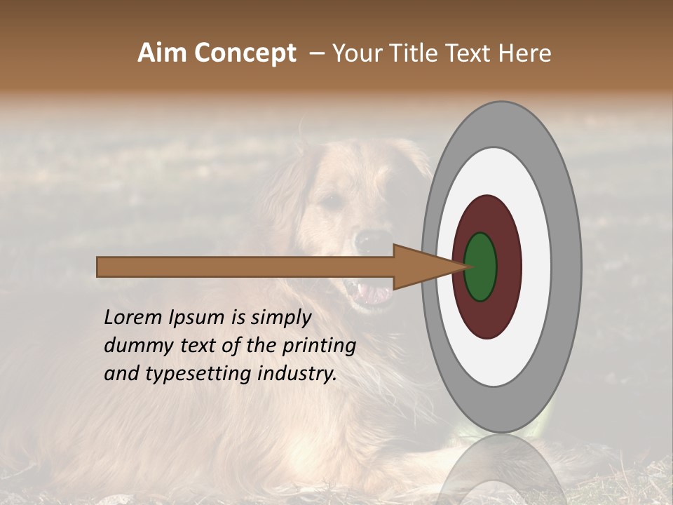 Golden With Frisbee PowerPoint Template