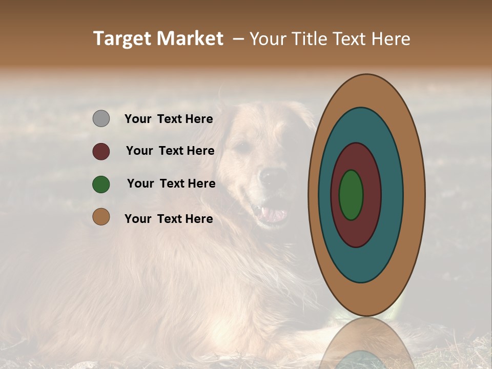 Golden With Frisbee PowerPoint Template