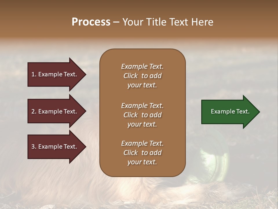Golden With Frisbee PowerPoint Template