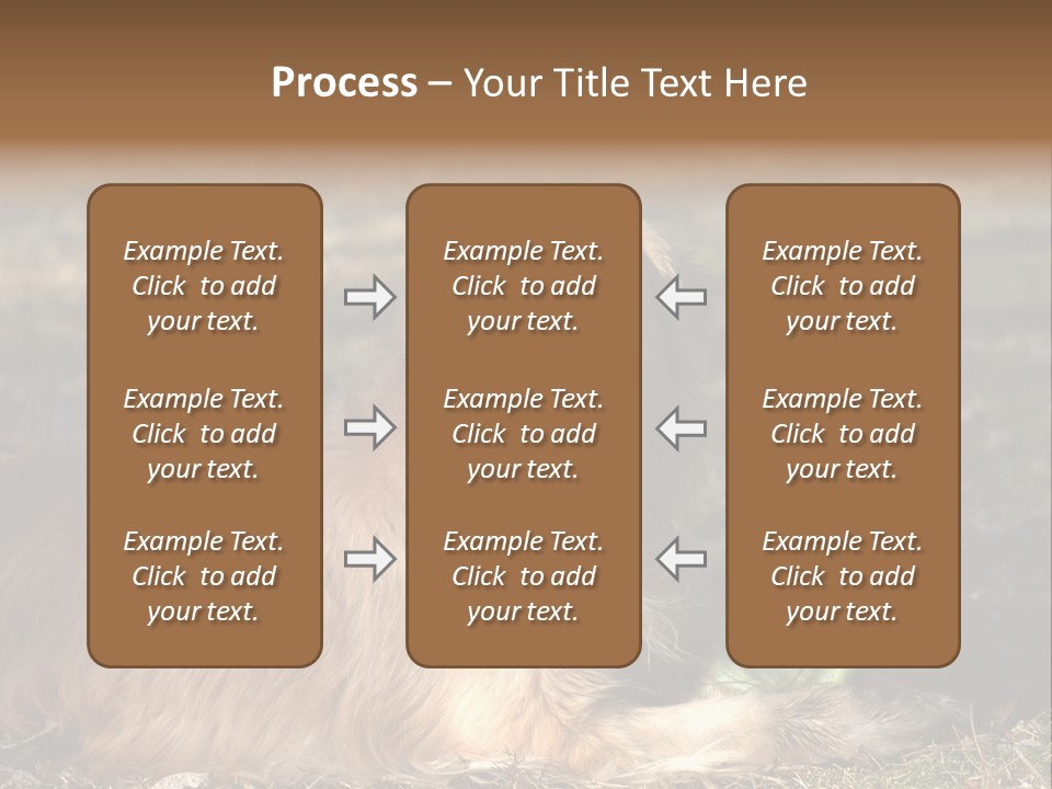 Golden With Frisbee PowerPoint Template