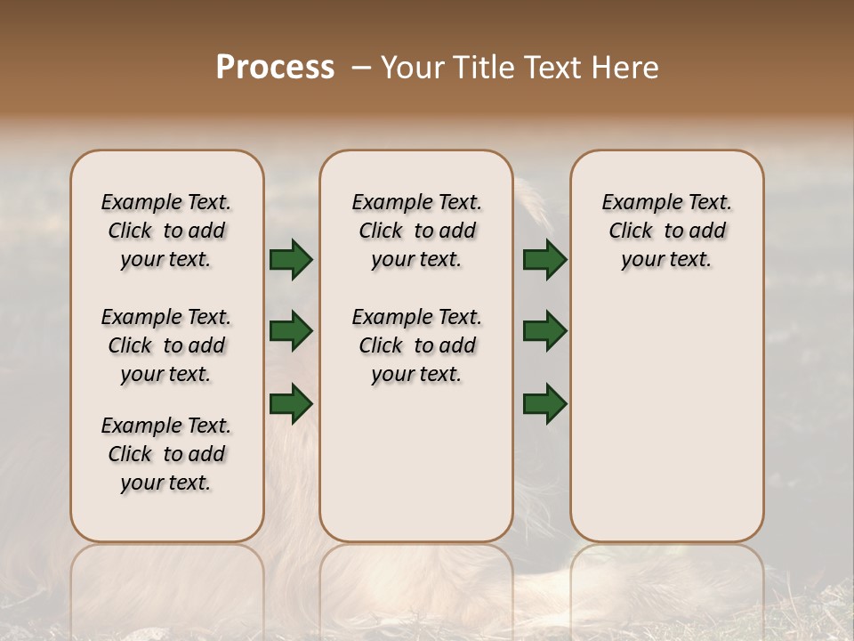 Golden With Frisbee PowerPoint Template