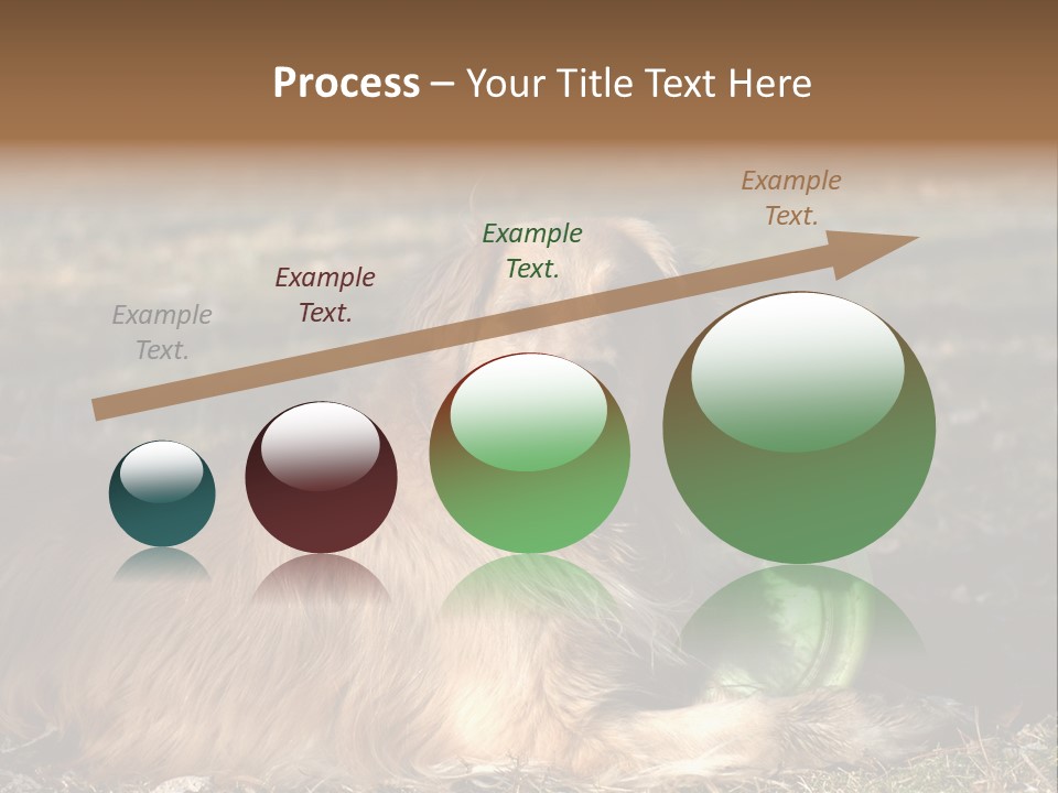 Golden With Frisbee PowerPoint Template