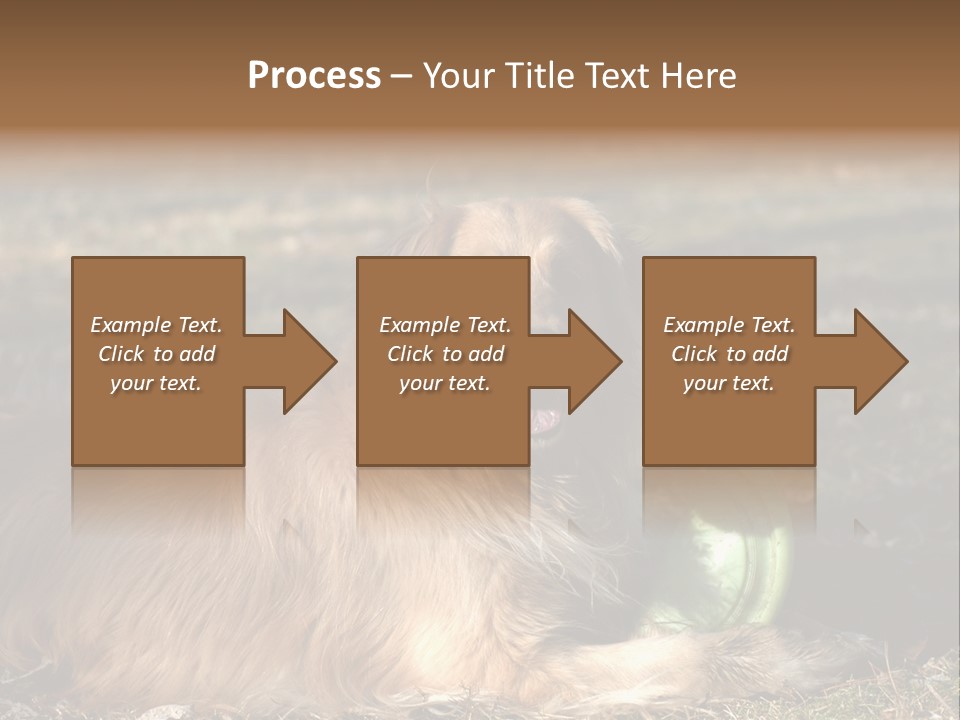 Golden With Frisbee PowerPoint Template