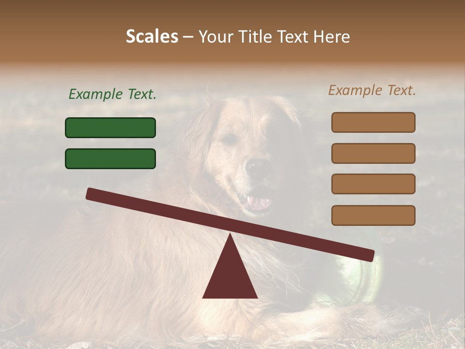 Golden With Frisbee PowerPoint Template