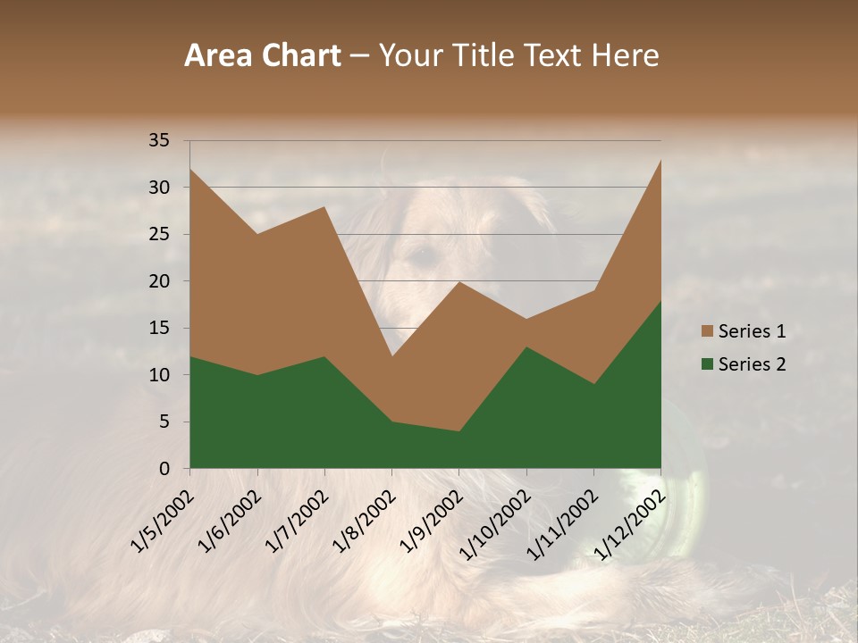 Golden With Frisbee PowerPoint Template