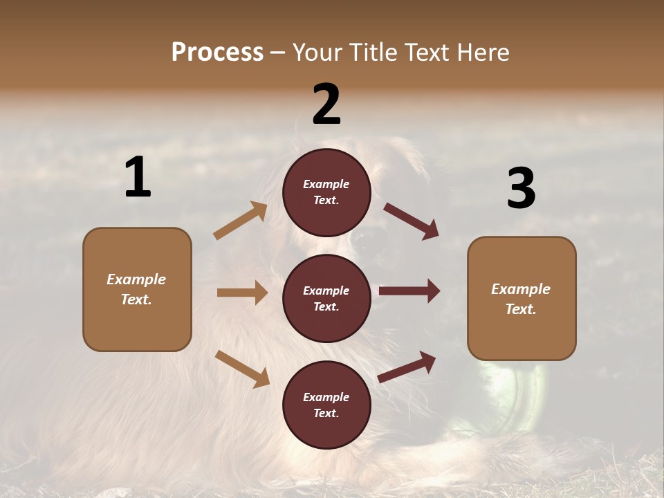 Golden With Frisbee PowerPoint Template