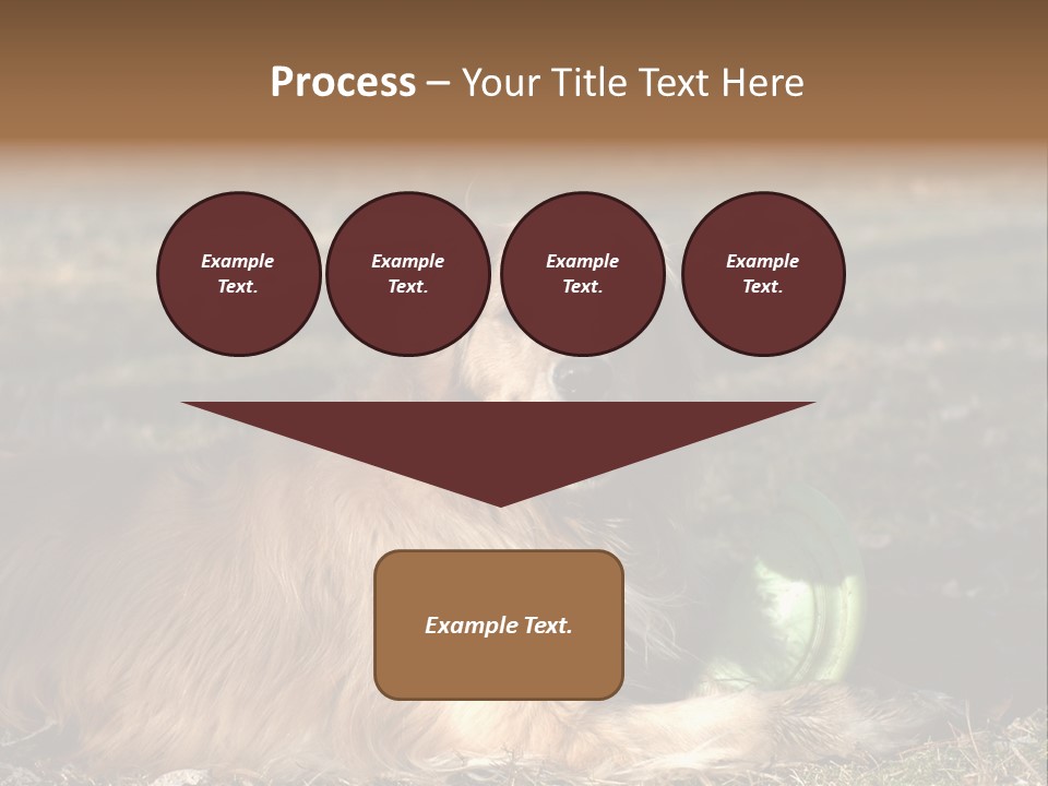 Golden With Frisbee PowerPoint Template