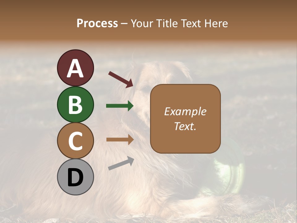 Golden With Frisbee PowerPoint Template