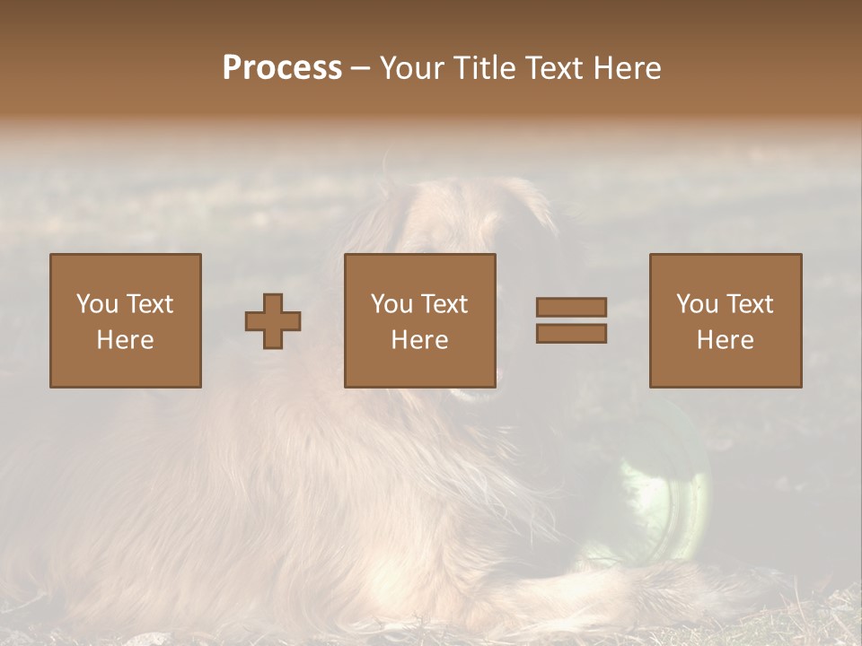 Golden With Frisbee PowerPoint Template