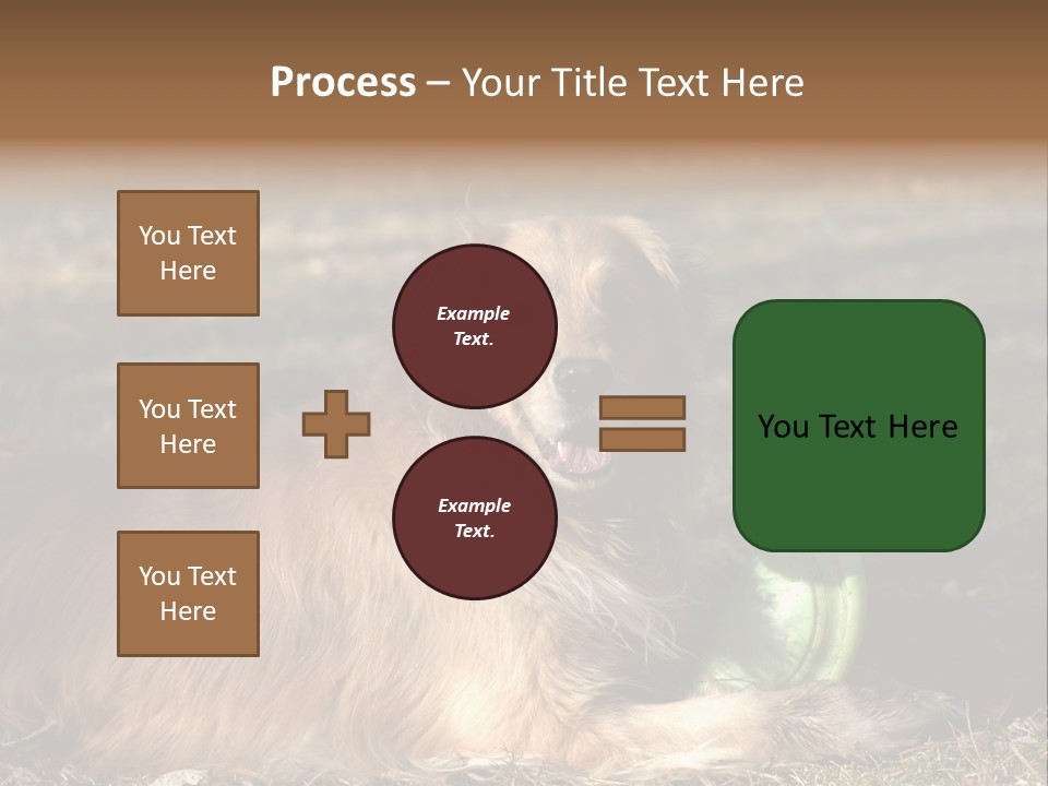 Golden With Frisbee PowerPoint Template