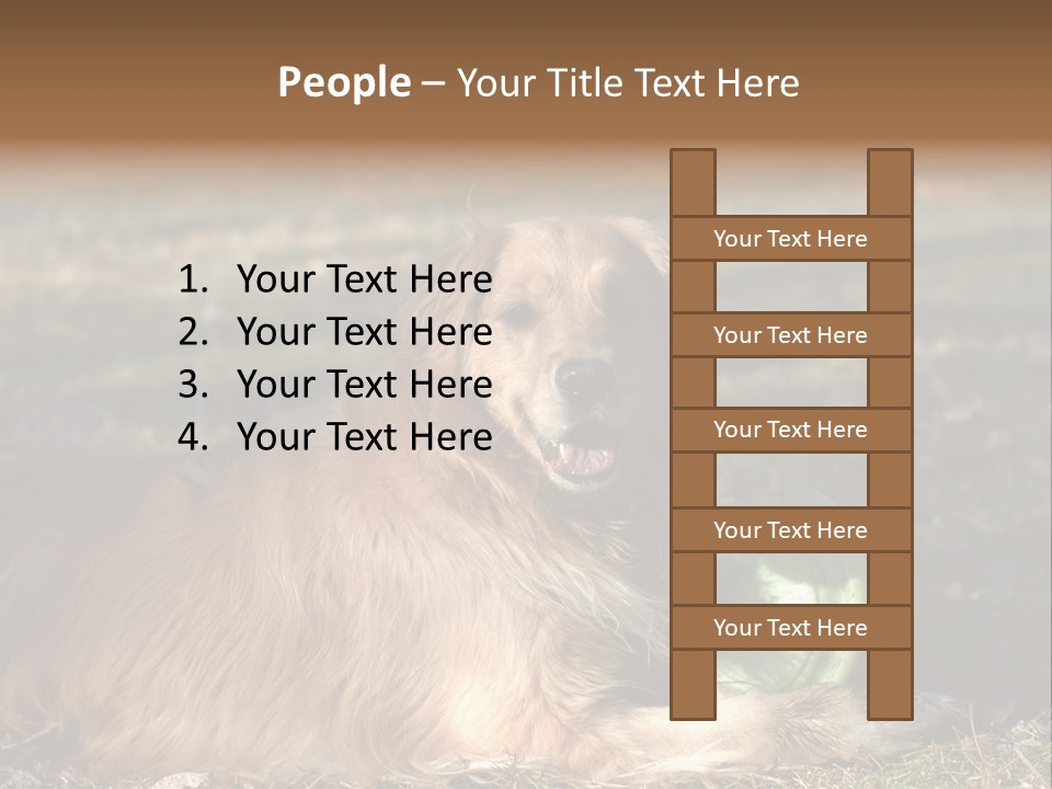 Golden With Frisbee PowerPoint Template