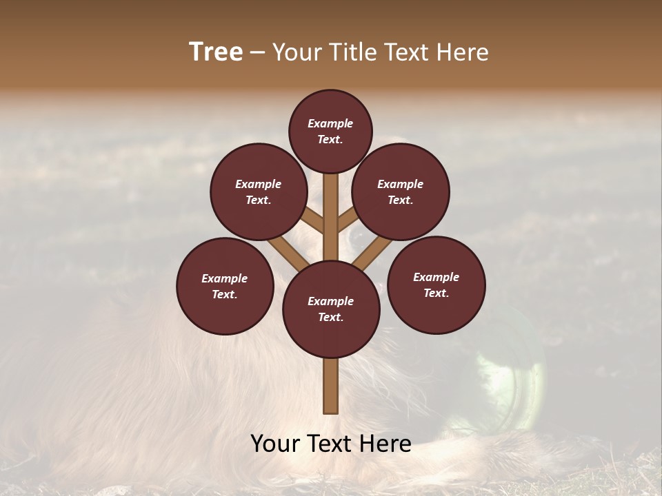 Golden With Frisbee PowerPoint Template