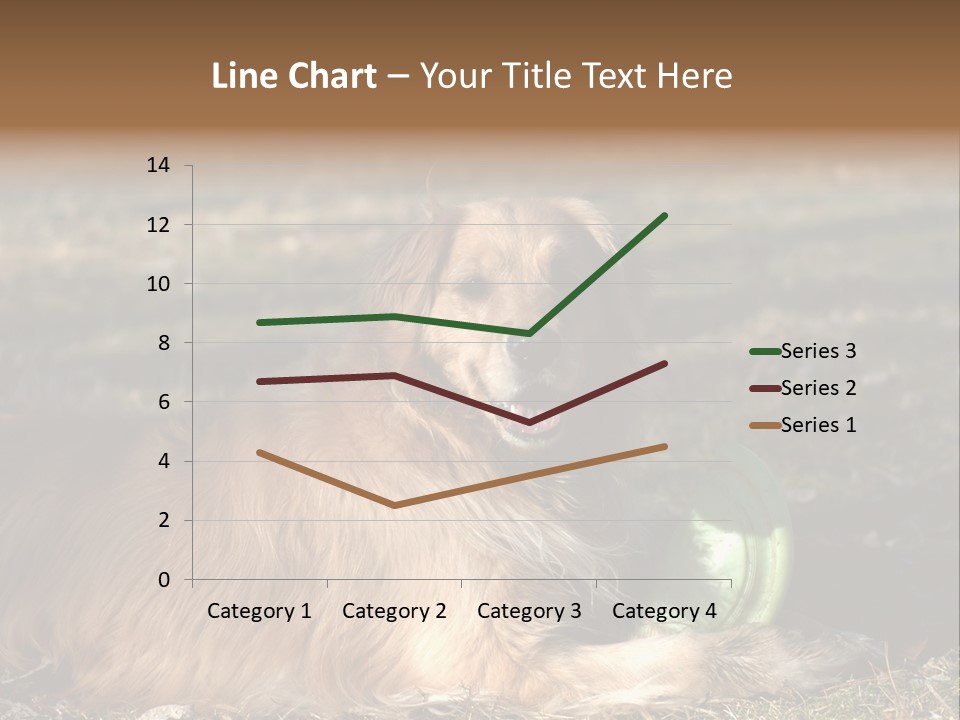 Golden With Frisbee PowerPoint Template