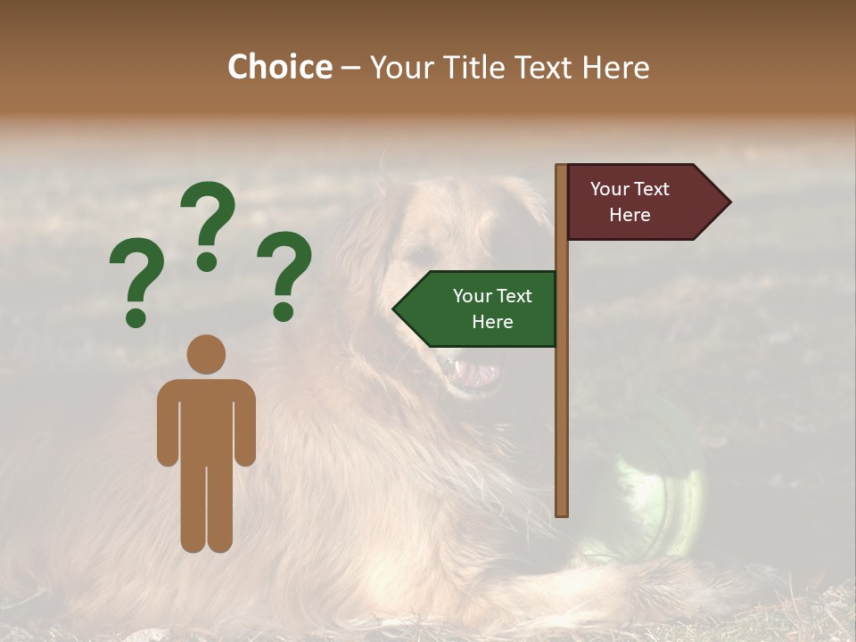 Golden With Frisbee PowerPoint Template