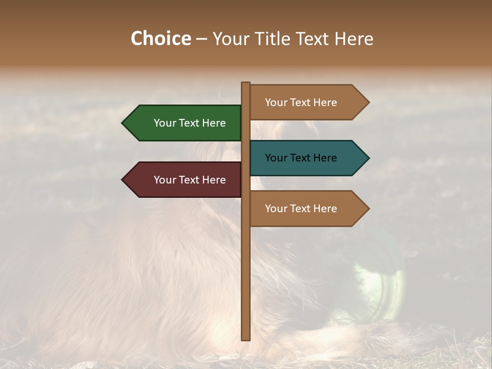 Golden With Frisbee PowerPoint Template