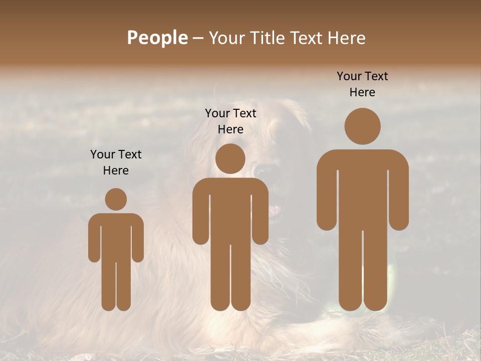 Golden With Frisbee PowerPoint Template