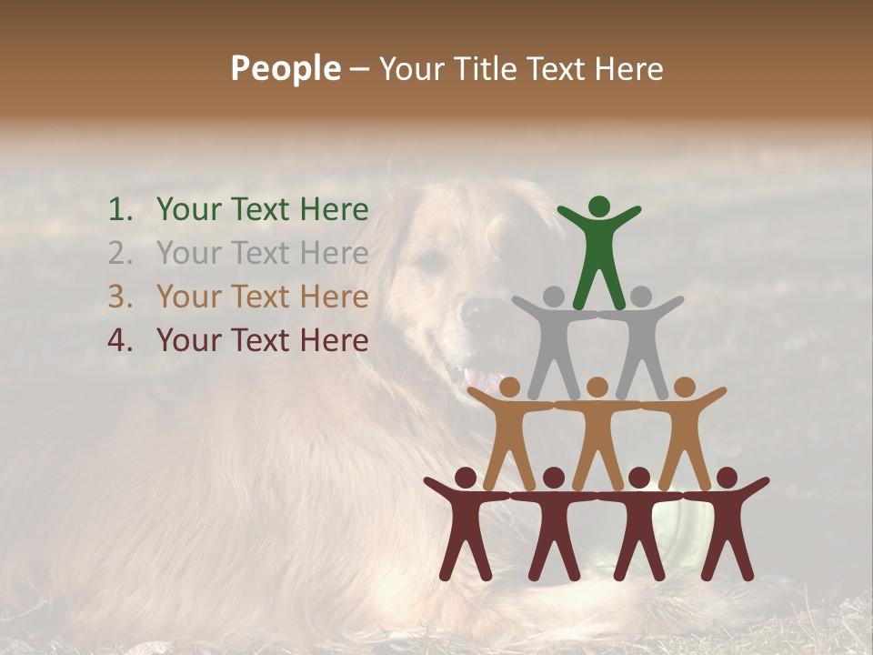 Golden With Frisbee PowerPoint Template