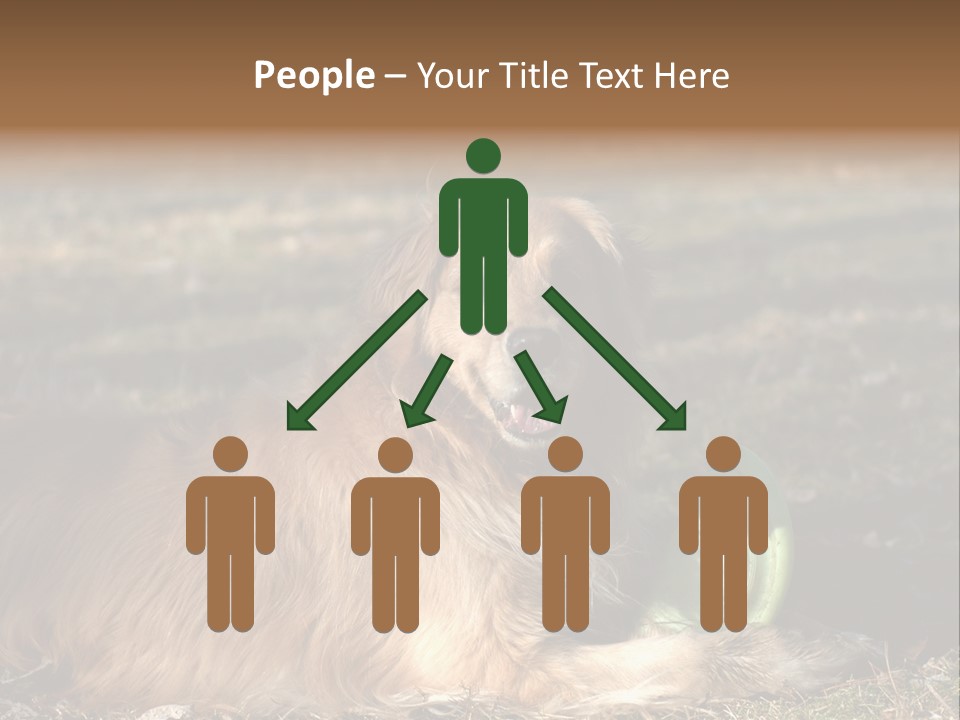 Golden With Frisbee PowerPoint Template