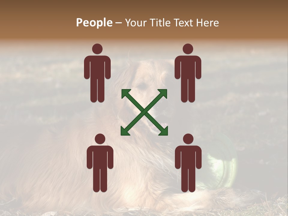 Golden With Frisbee PowerPoint Template