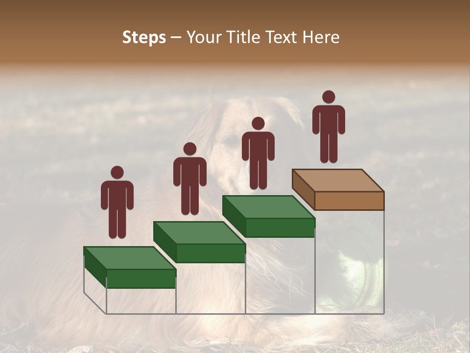 Golden With Frisbee PowerPoint Template