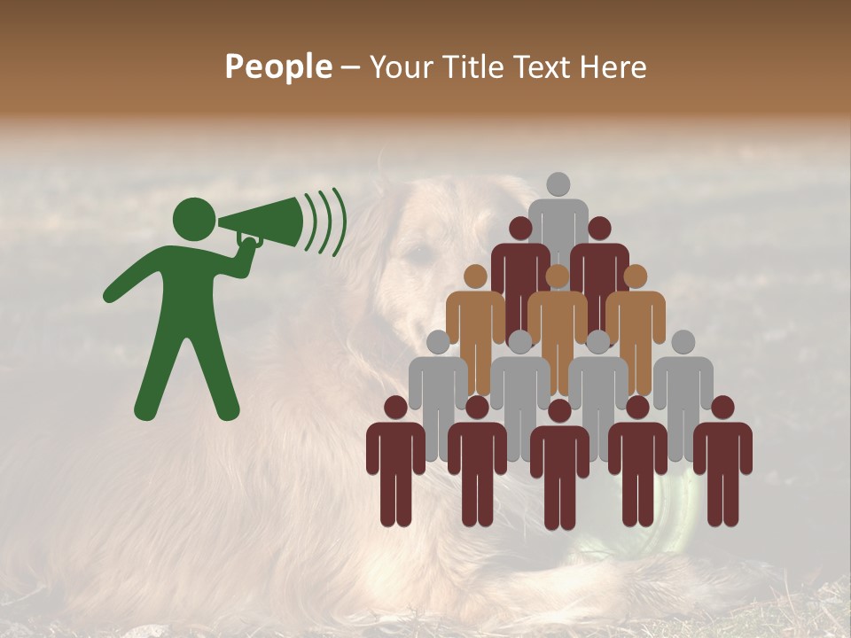 Golden With Frisbee PowerPoint Template