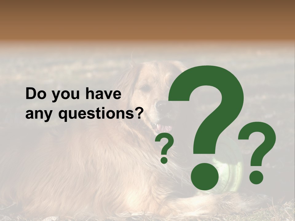 Golden With Frisbee PowerPoint Template