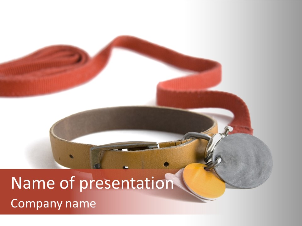 Leather Dog Colar With Registration Tags And Red Leash Attached. Isolated On White Background PowerPoint Template