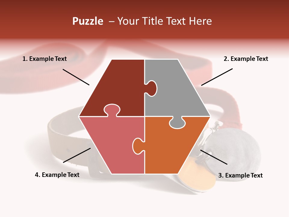 Leather Dog Colar With Registration Tags And Red Leash Attached. Isolated On White Background PowerPoint Template