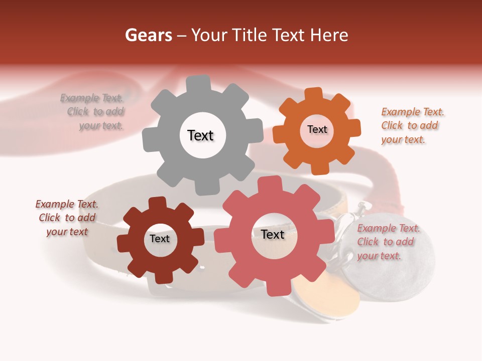 Leather Dog Colar With Registration Tags And Red Leash Attached. Isolated On White Background PowerPoint Template