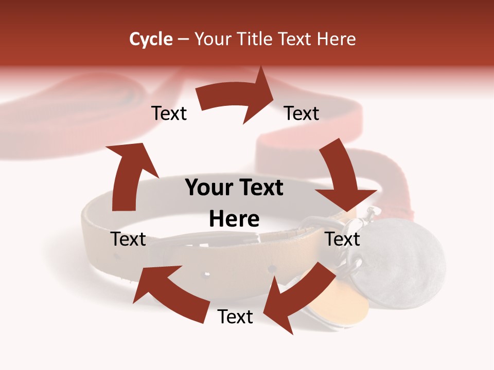 Leather Dog Colar With Registration Tags And Red Leash Attached. Isolated On White Background PowerPoint Template