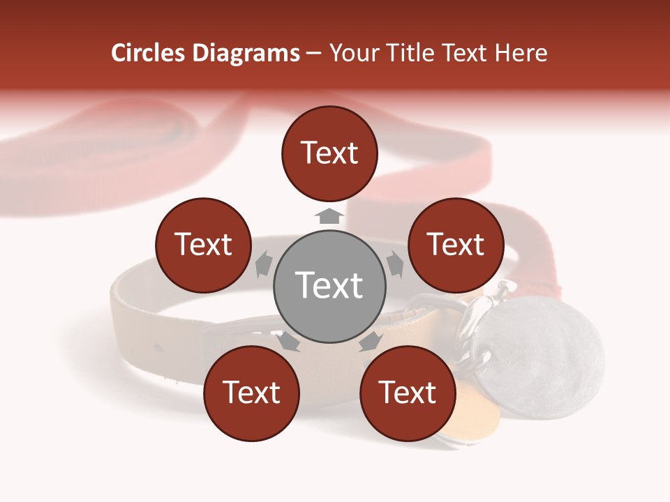 Leather Dog Colar With Registration Tags And Red Leash Attached. Isolated On White Background PowerPoint Template