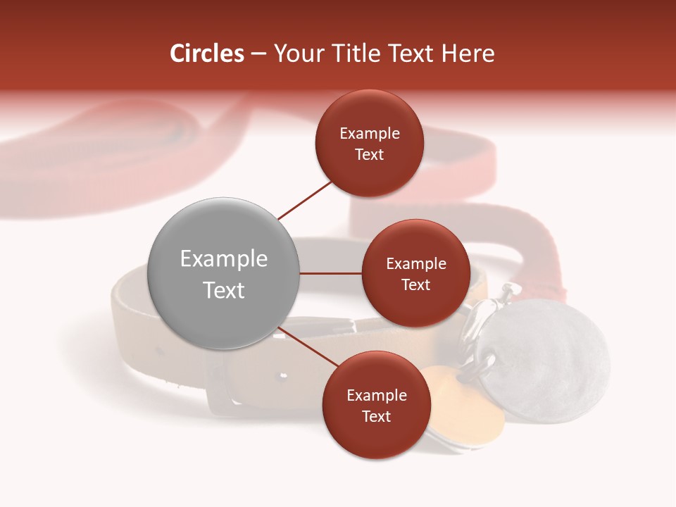 Leather Dog Colar With Registration Tags And Red Leash Attached. Isolated On White Background PowerPoint Template