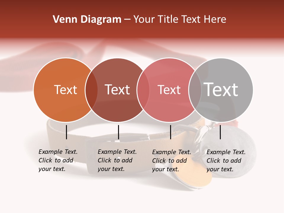 Leather Dog Colar With Registration Tags And Red Leash Attached. Isolated On White Background PowerPoint Template