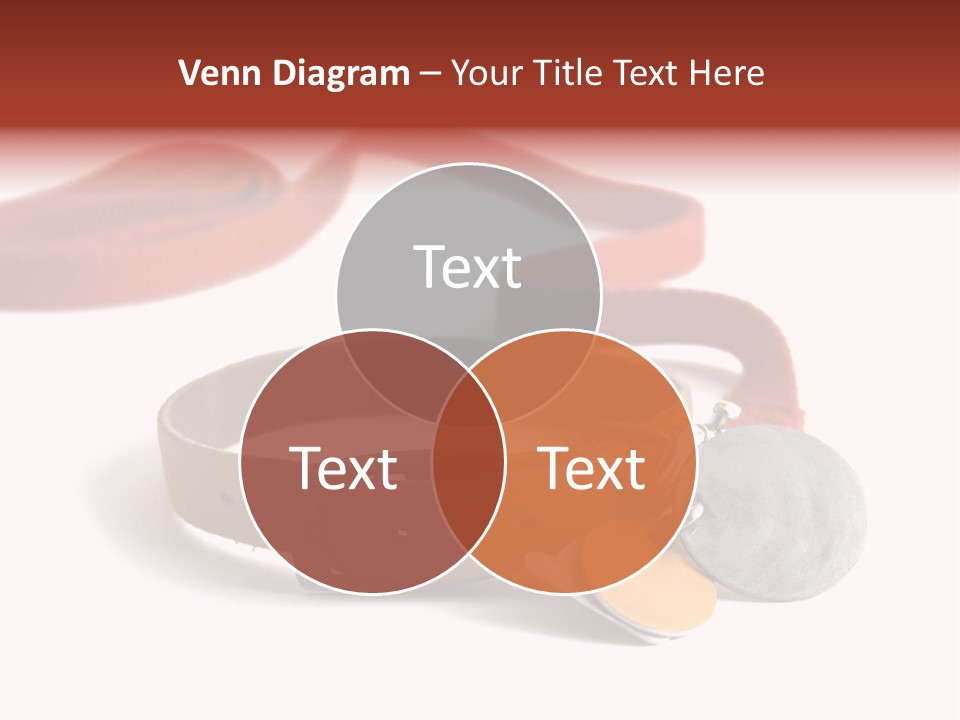 Leather Dog Colar With Registration Tags And Red Leash Attached. Isolated On White Background PowerPoint Template