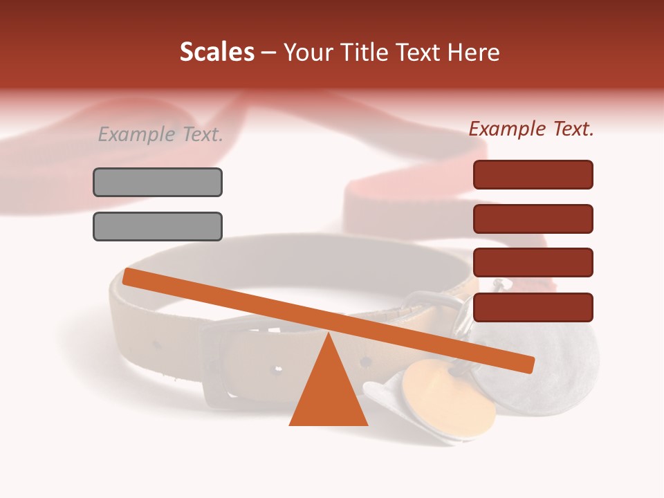 Leather Dog Colar With Registration Tags And Red Leash Attached. Isolated On White Background PowerPoint Template