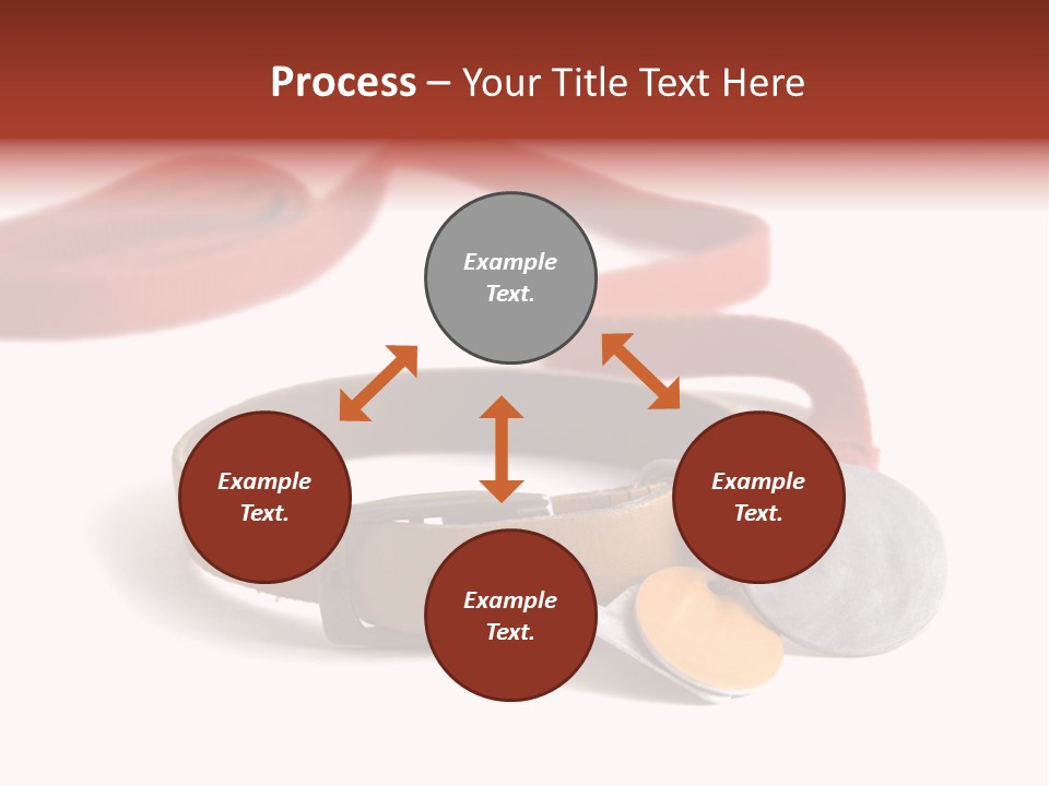 Leather Dog Colar With Registration Tags And Red Leash Attached. Isolated On White Background PowerPoint Template