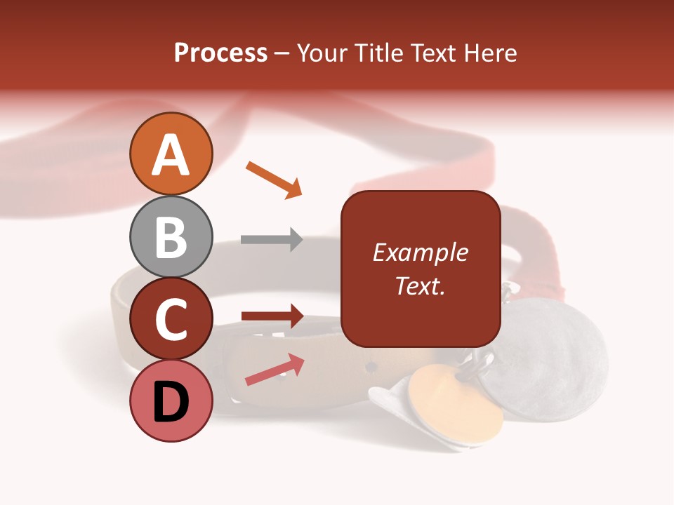 Leather Dog Colar With Registration Tags And Red Leash Attached. Isolated On White Background PowerPoint Template