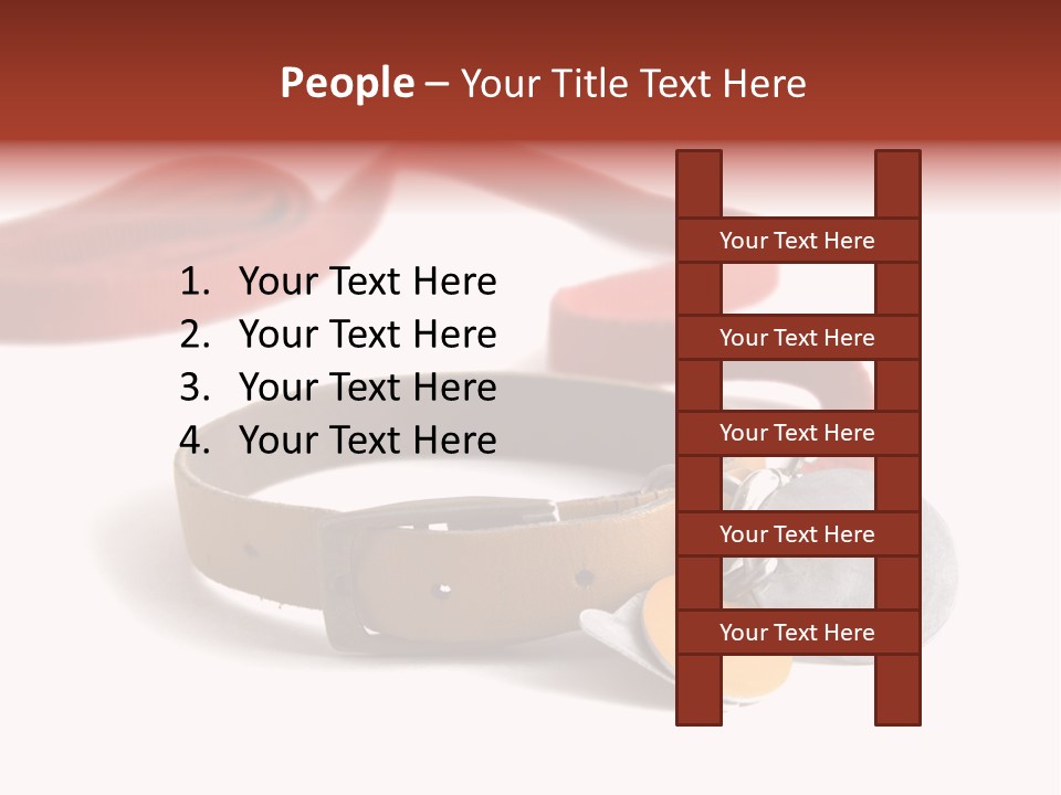 Leather Dog Colar With Registration Tags And Red Leash Attached. Isolated On White Background PowerPoint Template