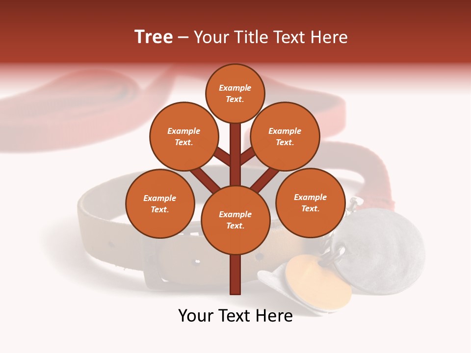 Leather Dog Colar With Registration Tags And Red Leash Attached. Isolated On White Background PowerPoint Template