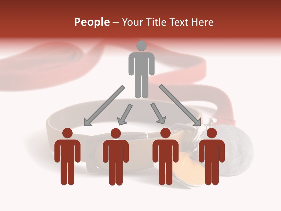 Leather Dog Colar With Registration Tags And Red Leash Attached. Isolated On White Background PowerPoint Template