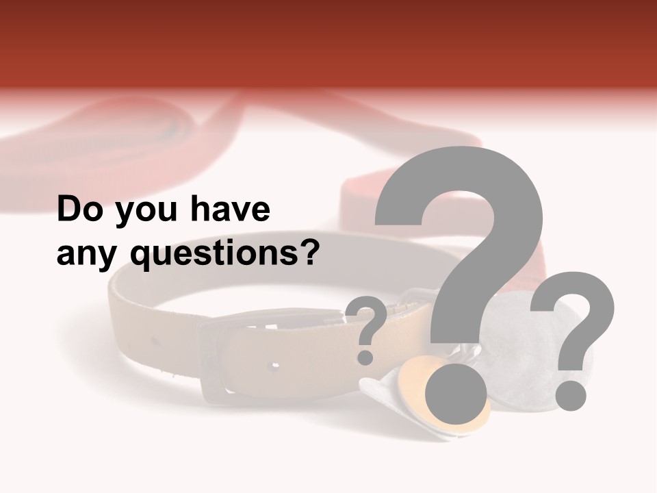 Leather Dog Colar With Registration Tags And Red Leash Attached. Isolated On White Background PowerPoint Template