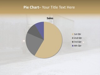 Taken During A Snowstorm PowerPoint Template