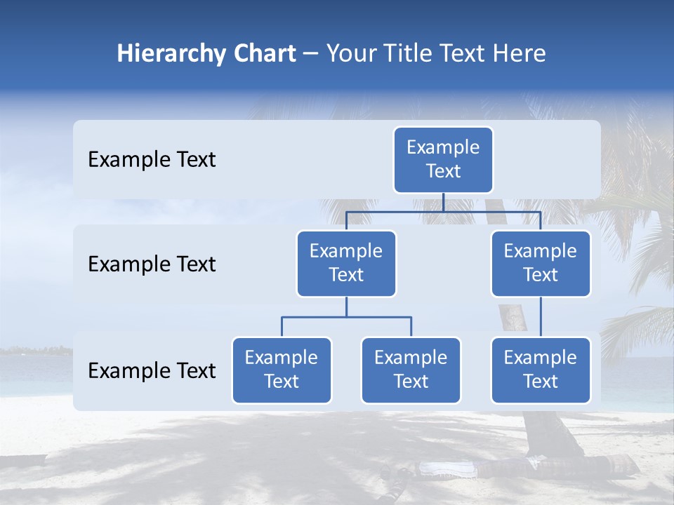 A Palm Tree On A Beach With The Ocean In The Background PowerPoint Template